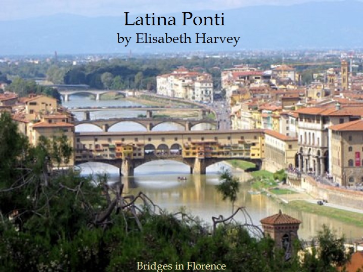 Front cover of Latina Ponti
